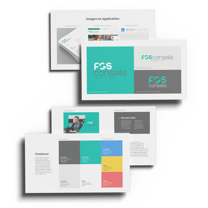 capture écran de la charte graphique de FGS conseils